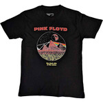 Pink Floyd - Vintage Pyramids