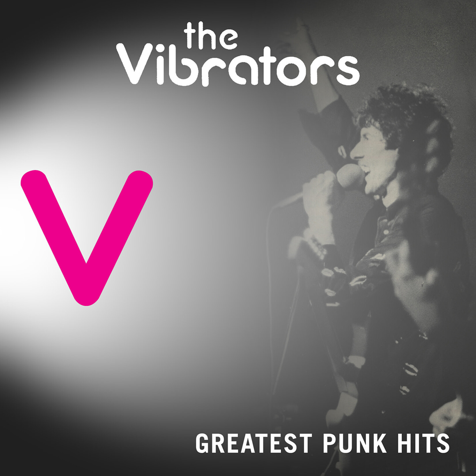 Vibrators - Greatest Punk Hits [CD]