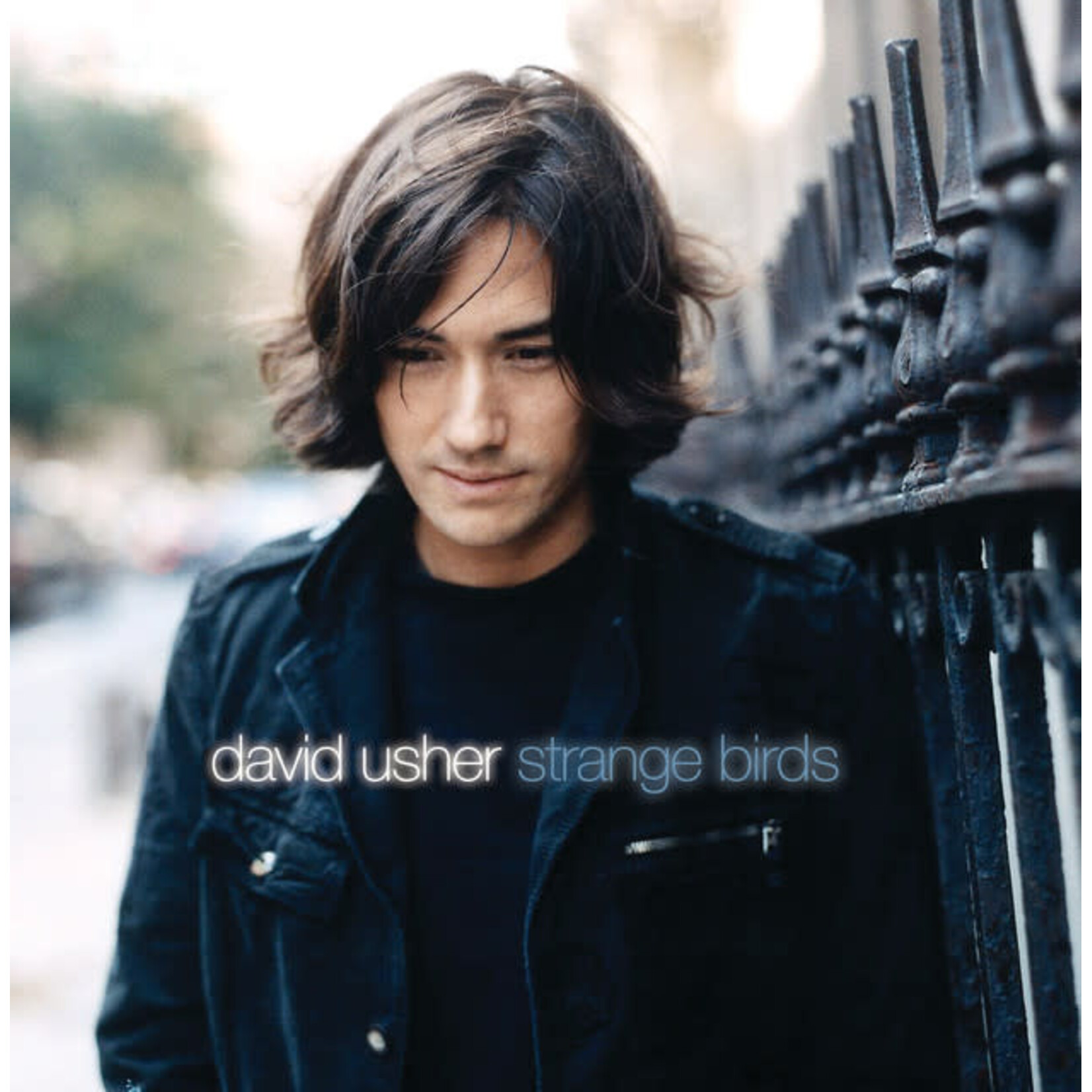 David Usher - Strange Birds [USED CD]