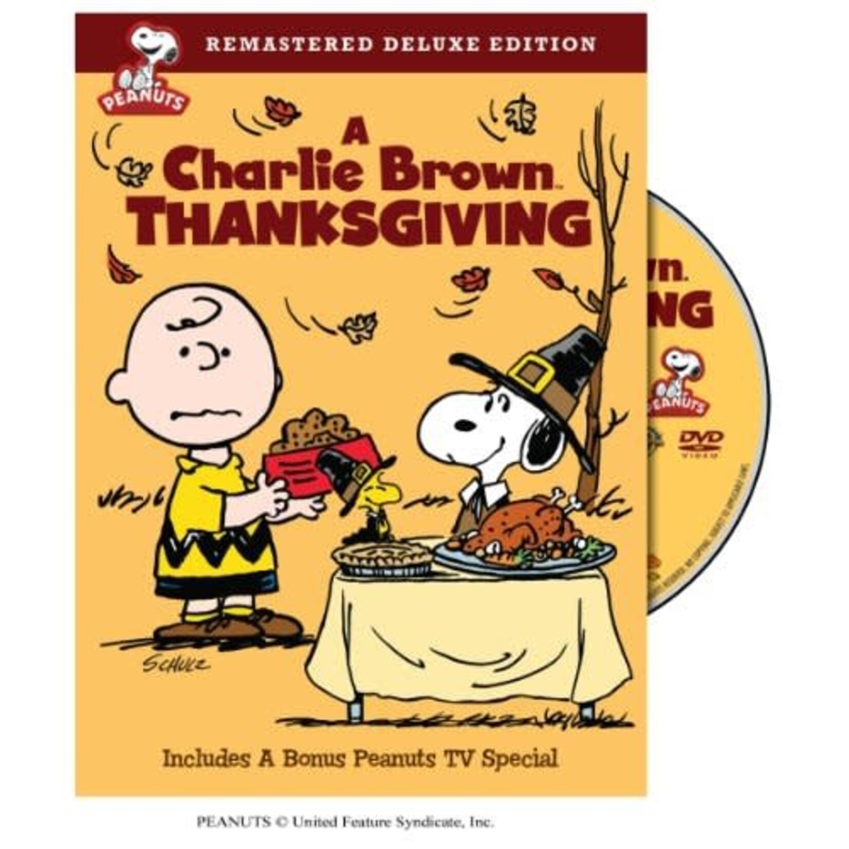 Peanuts - A Charlie Brown Thanksgiving [USED DVD]