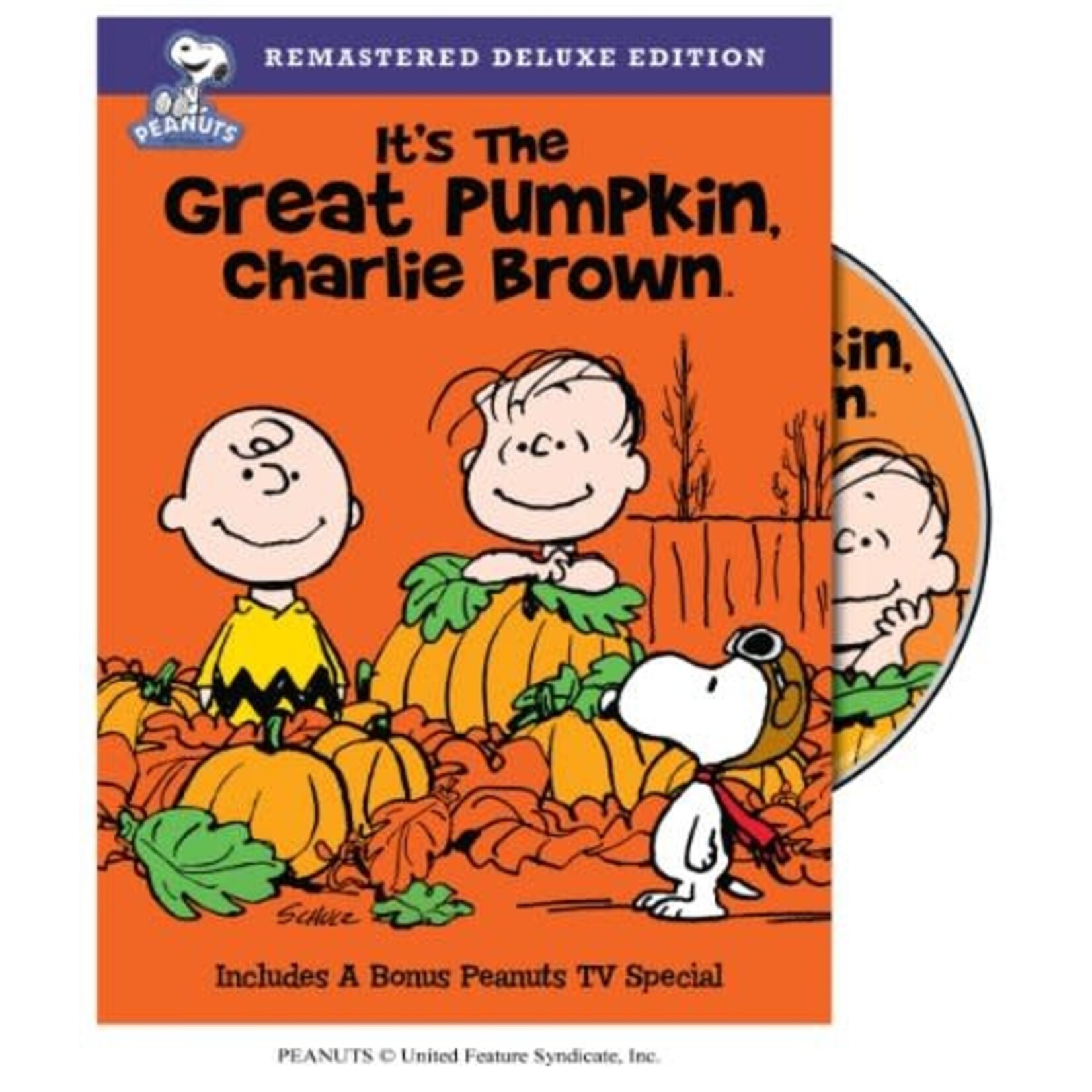 Peanuts - It's The Great Pumpkin, Charlie Brown (1966) [USED DVD]