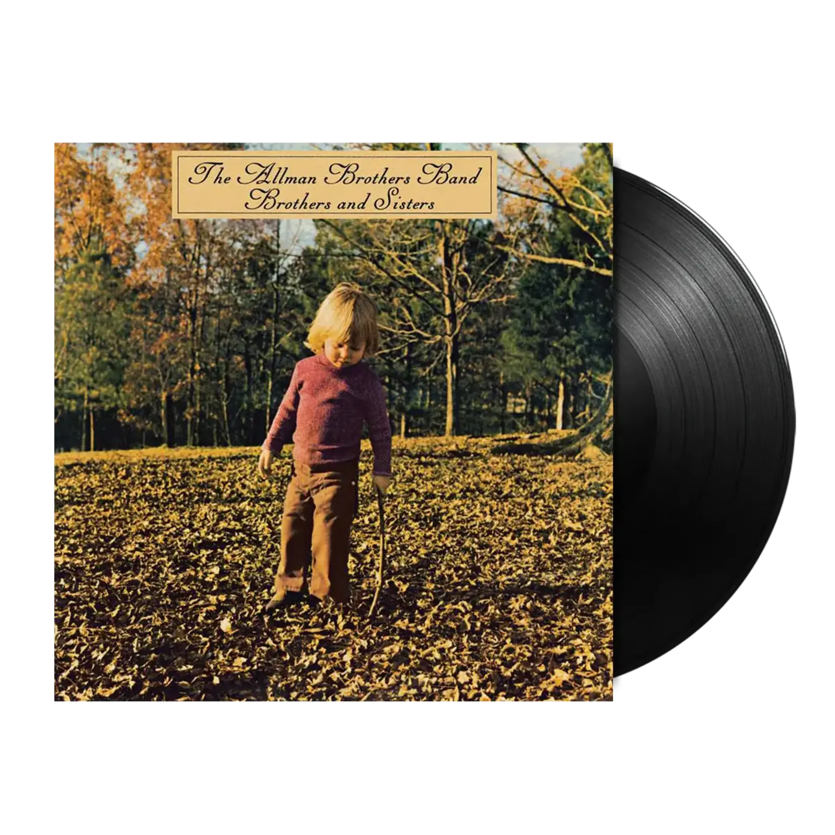 Allman Brothers Band - Brothers And Sisters [LP]