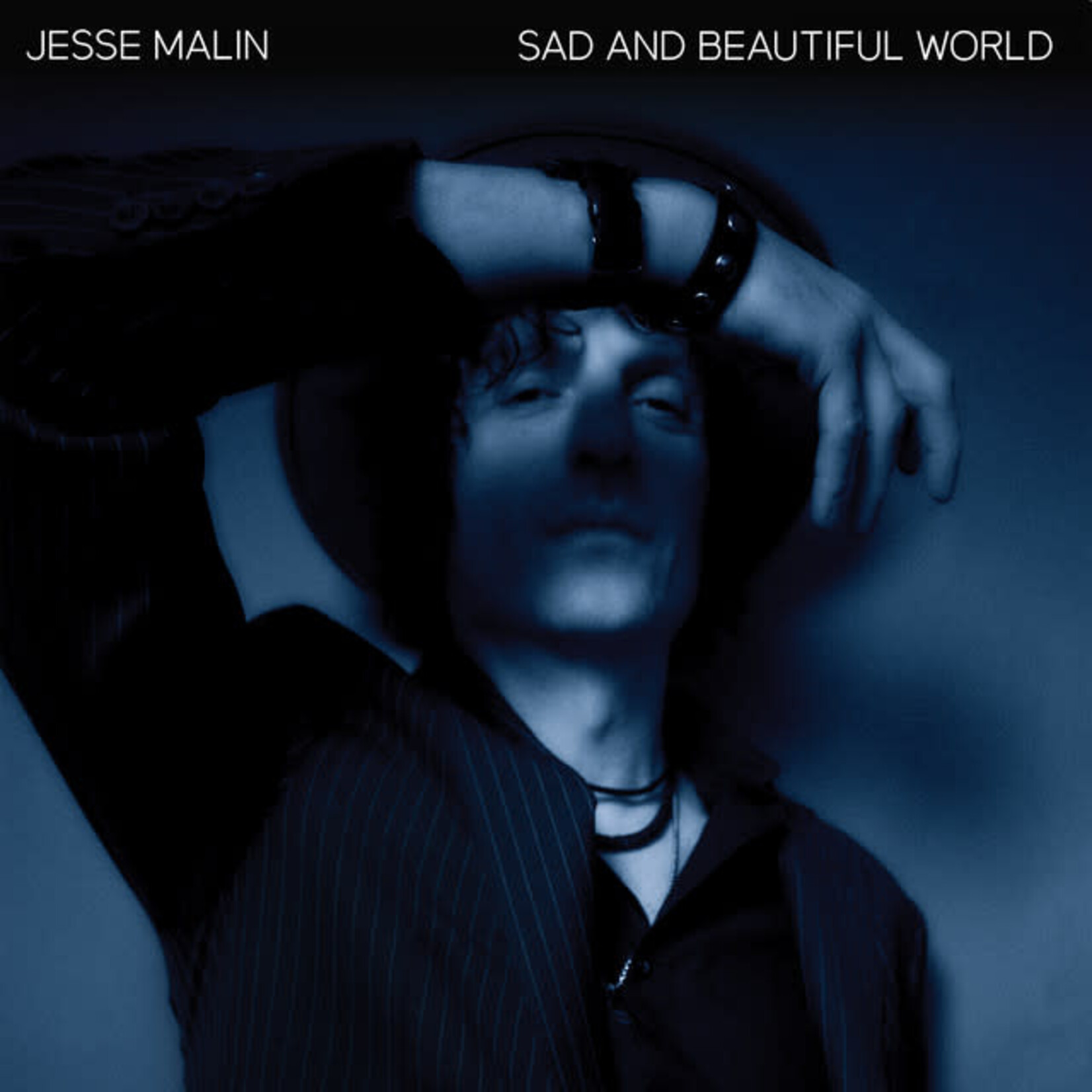 Jesse Malin - Sad And Beautiful World [USED 2CD]