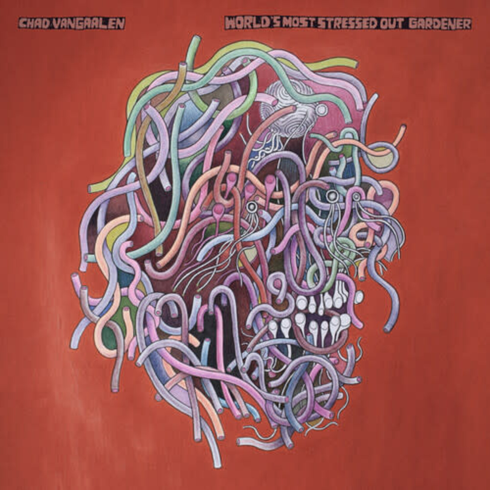 Chad VanGaalen - World's Most Stressed Out Gardener [USED CD]