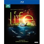 Life - Mini-Series [USED 4BRD]