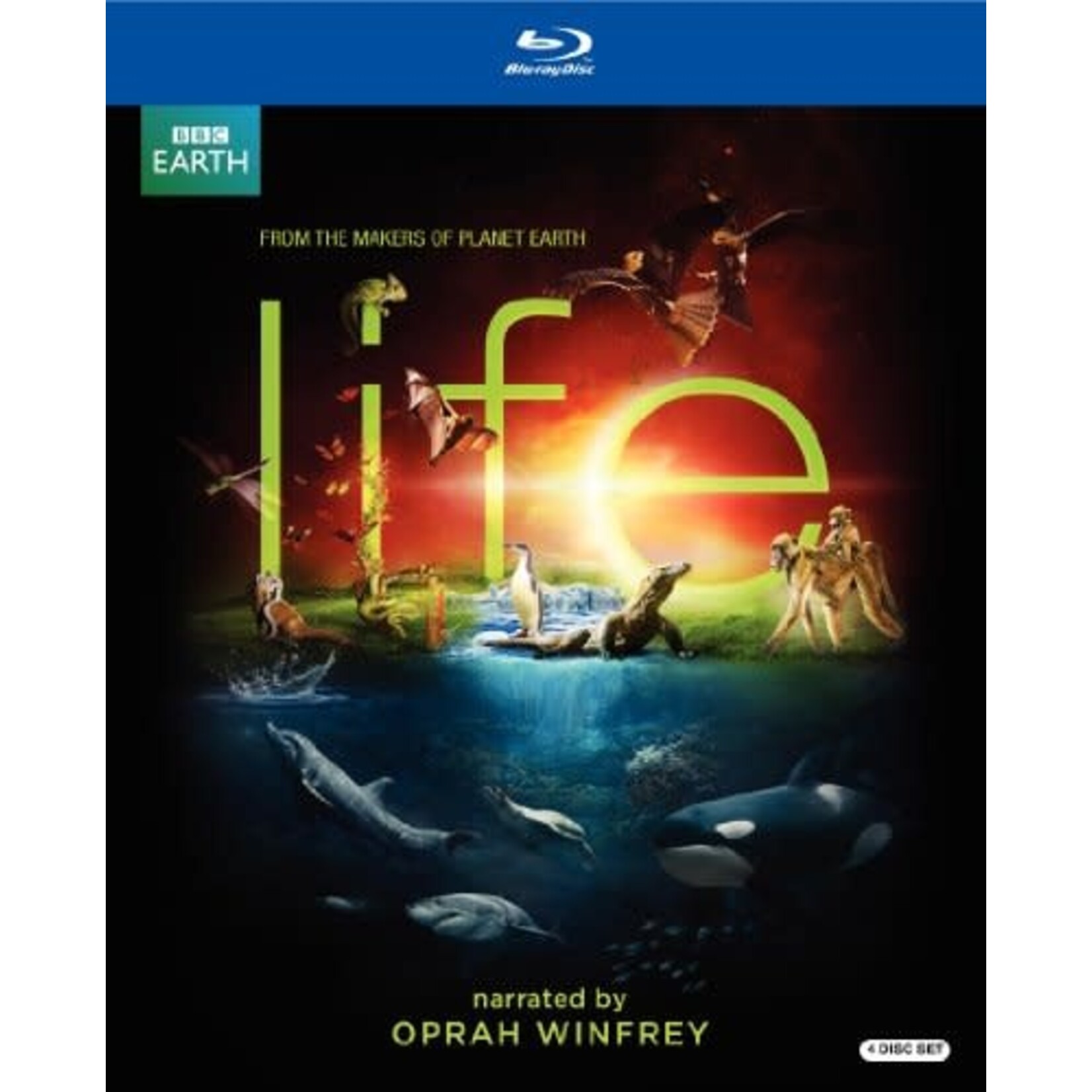 Life - Mini-Series [USED 4BRD]