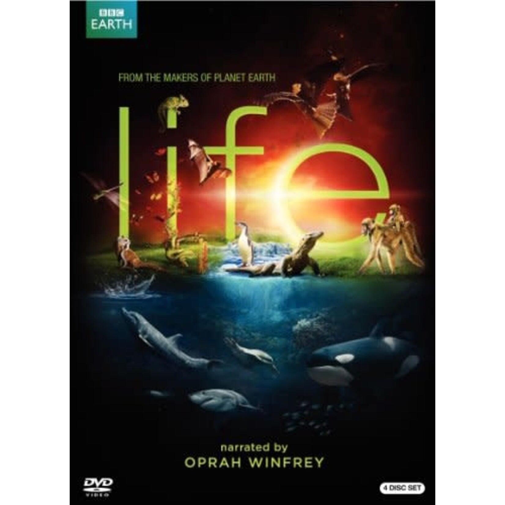 Life - Mini-Series [USED 4DVD]