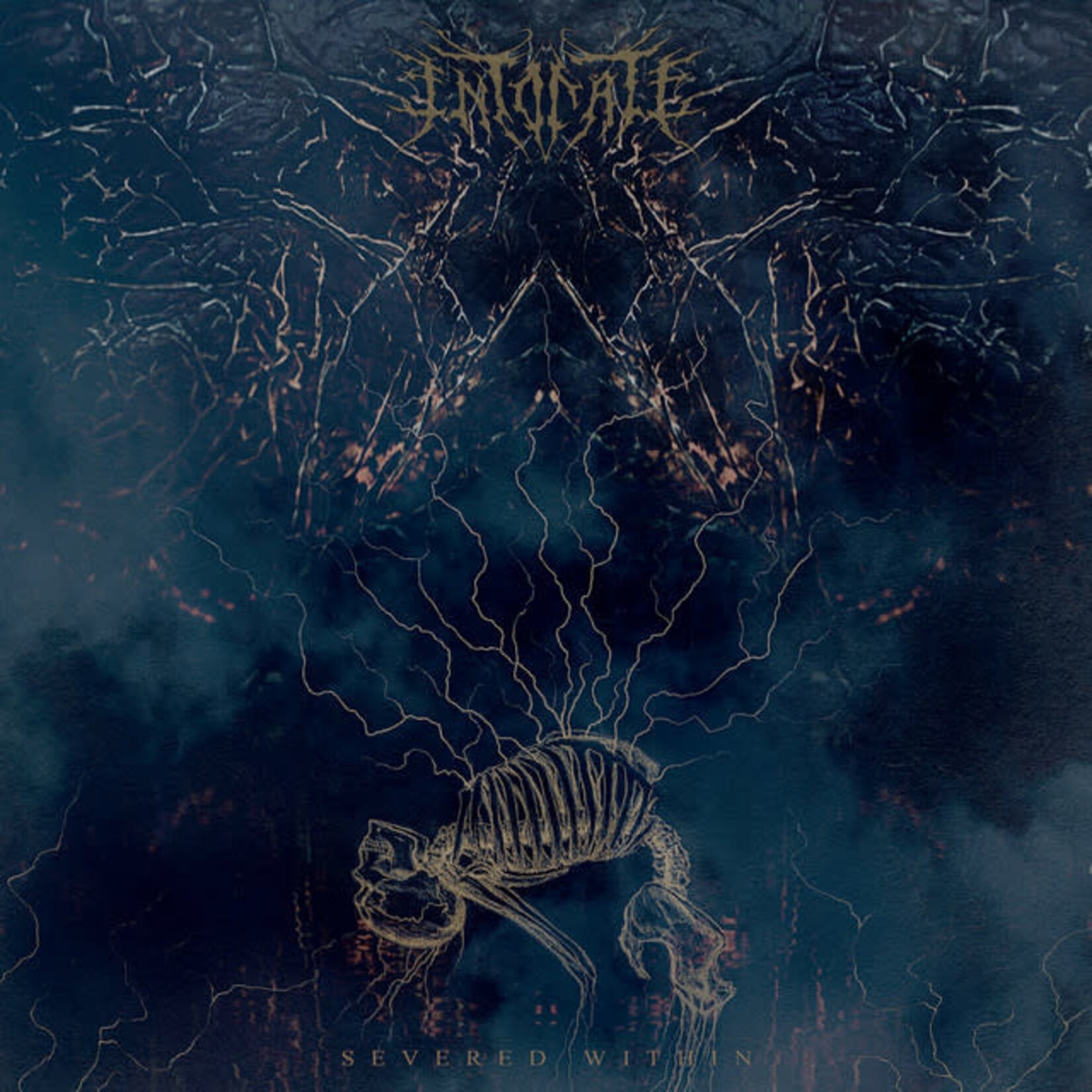 Intonate - Severed Within [USED CD]