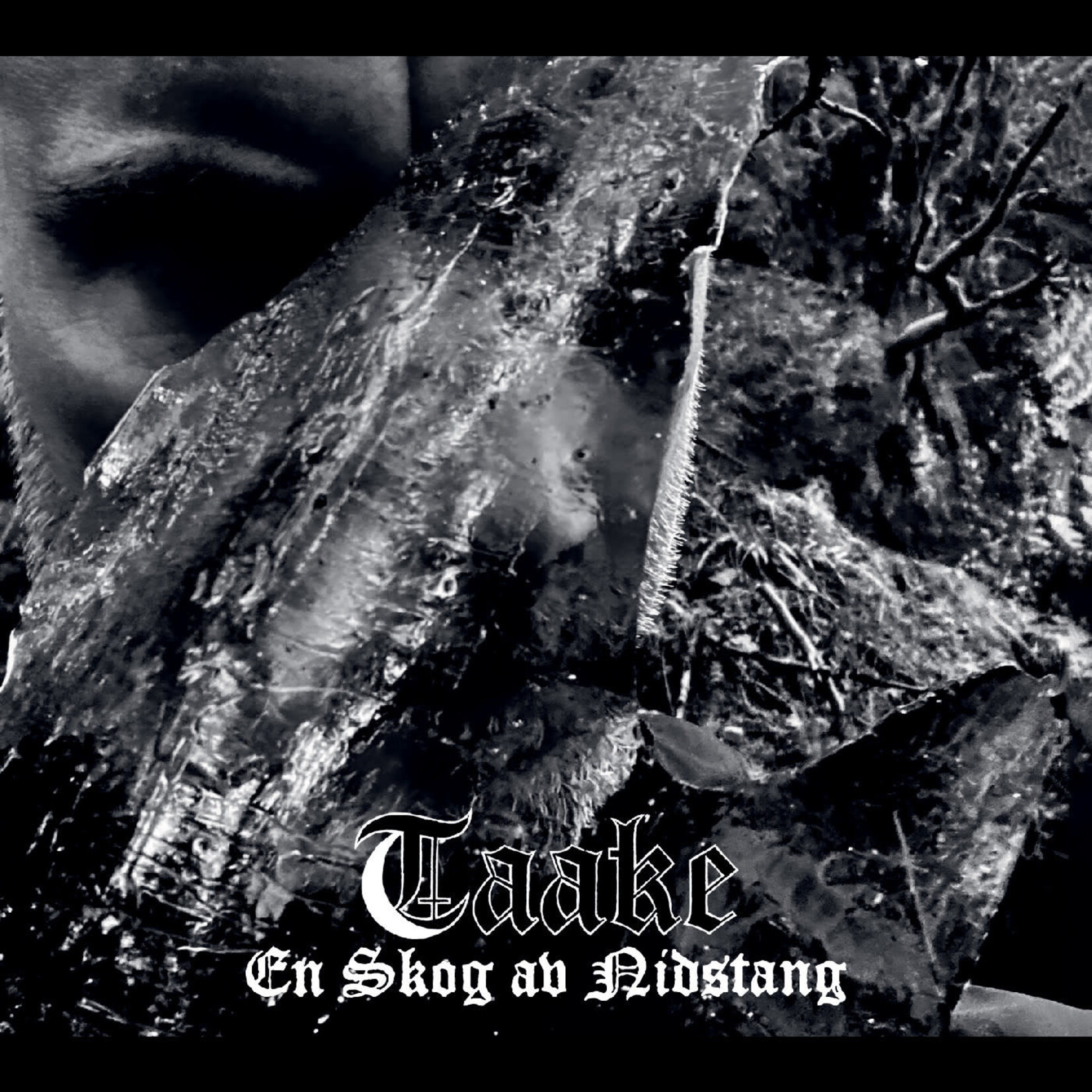 Taake - En Skog Av Nidstang [LP]