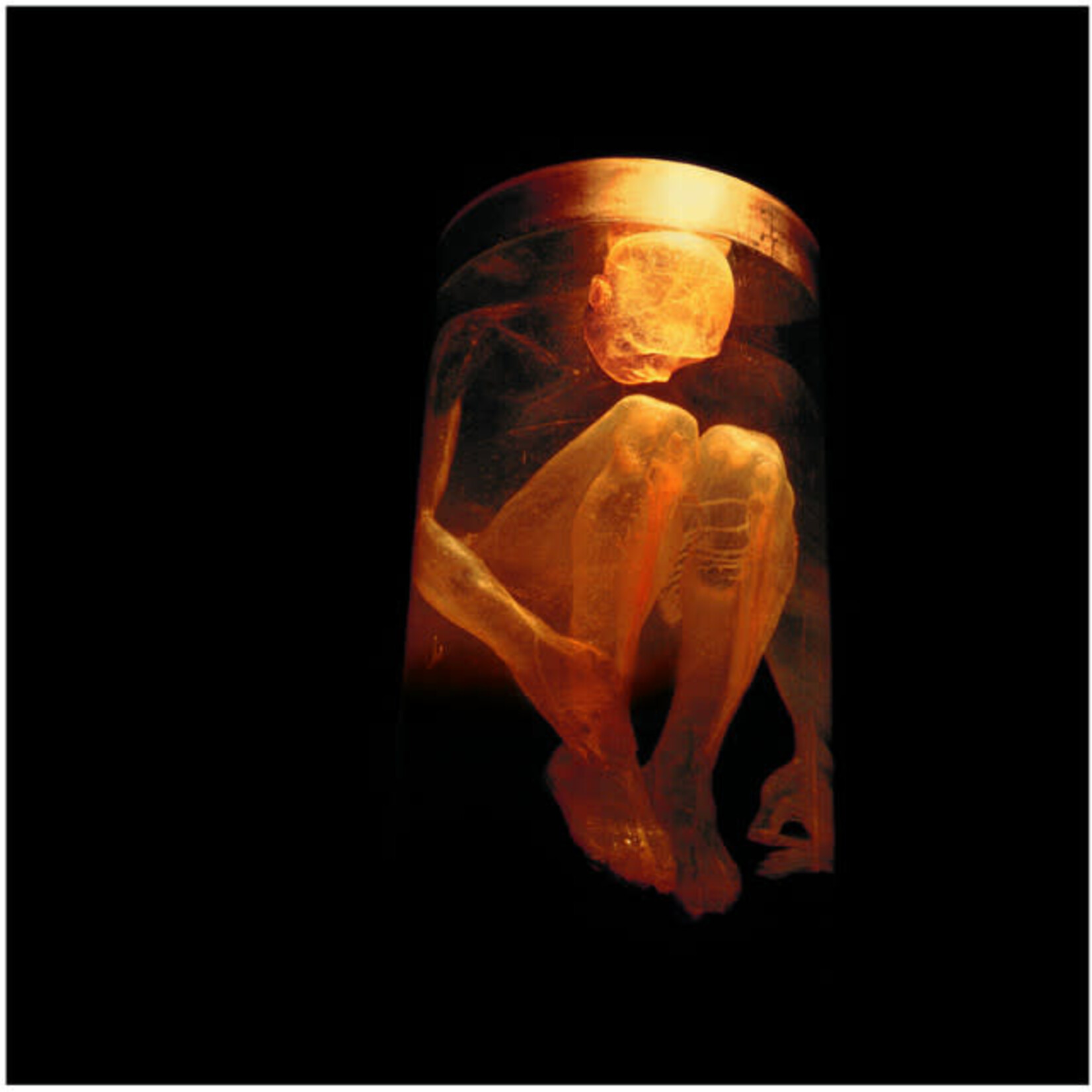Alice In Chains - Nothing Safe: The Best Of The Box [USED CD]