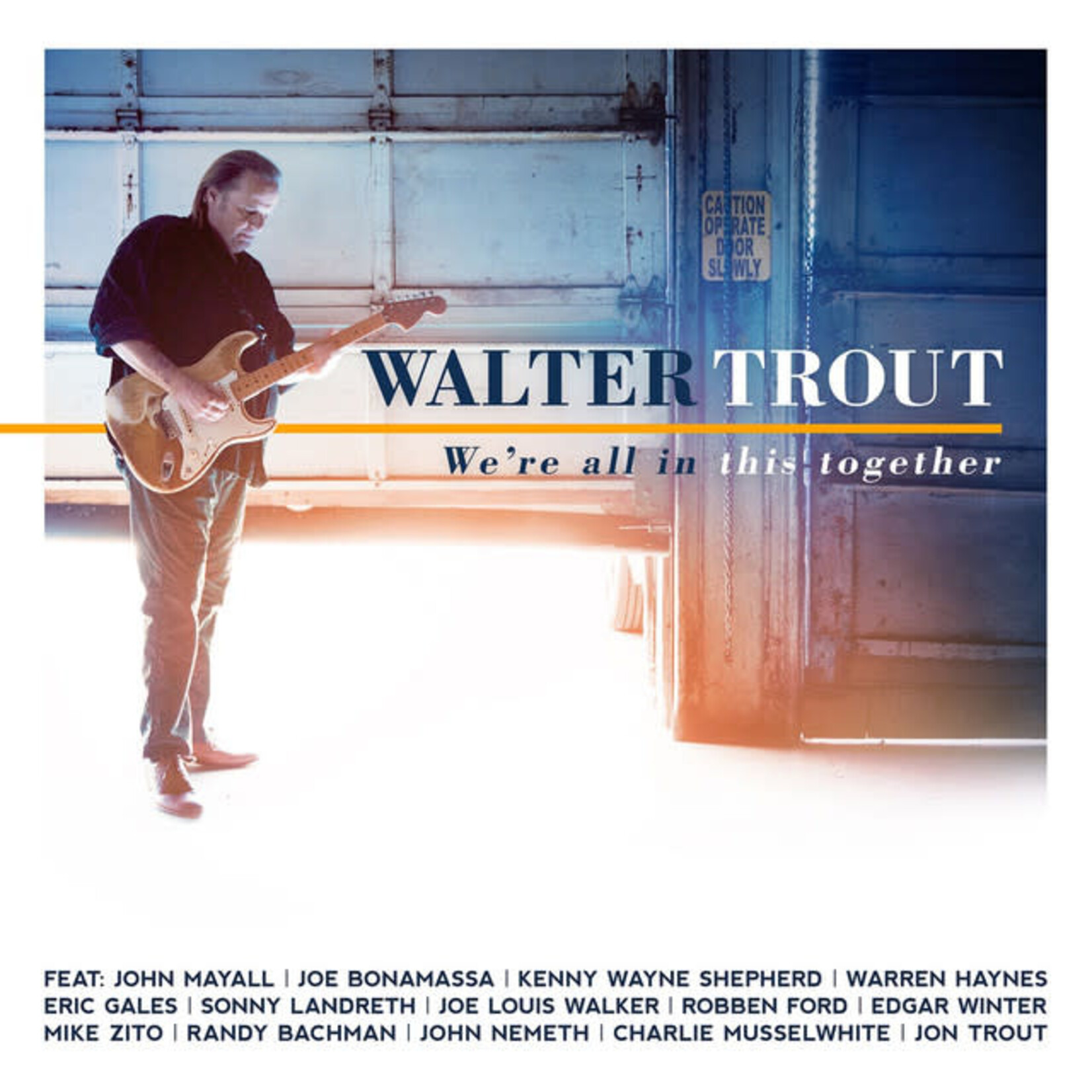 Walter Trout - We're All In This Together [USED CD]