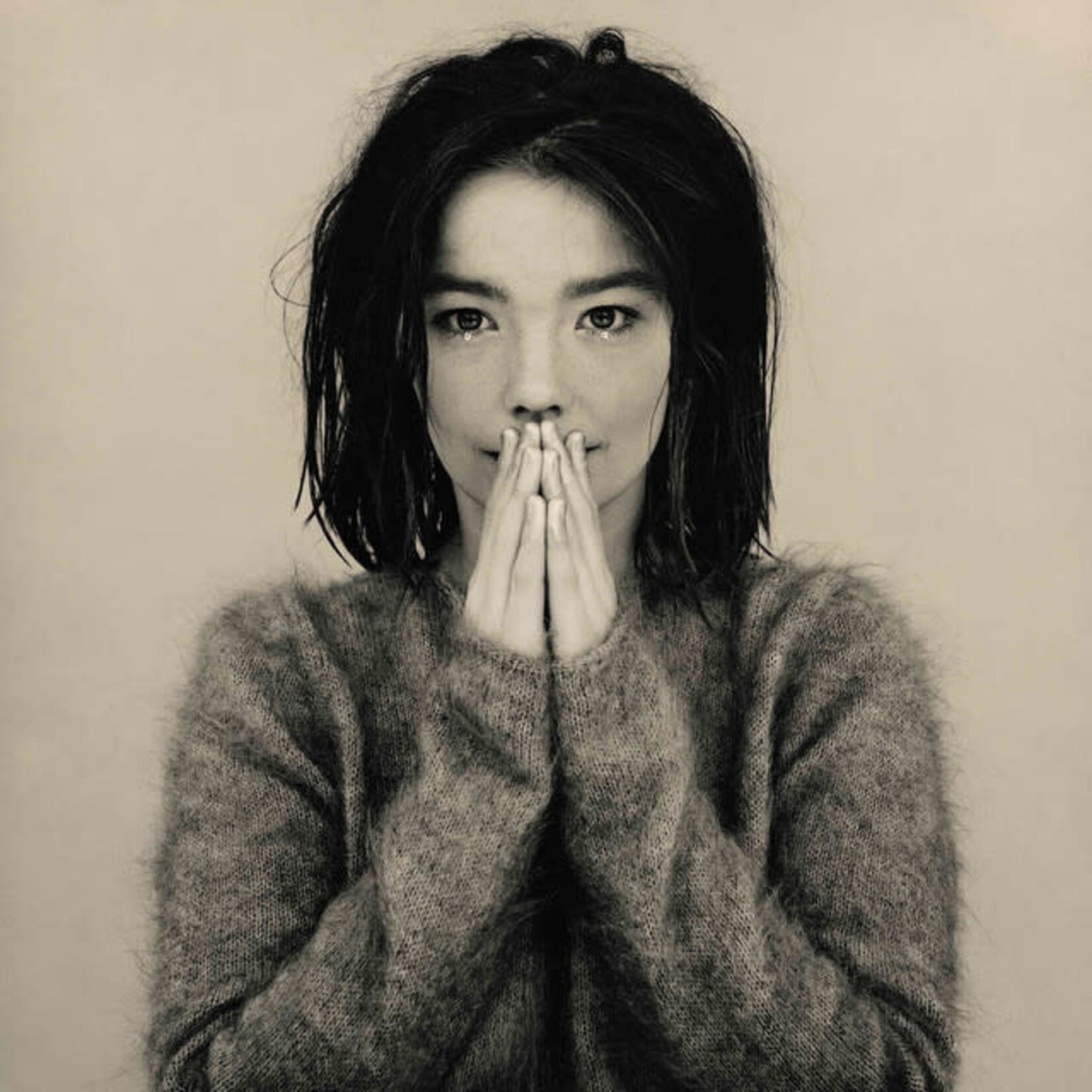 Bjork - Debut [USED CD]