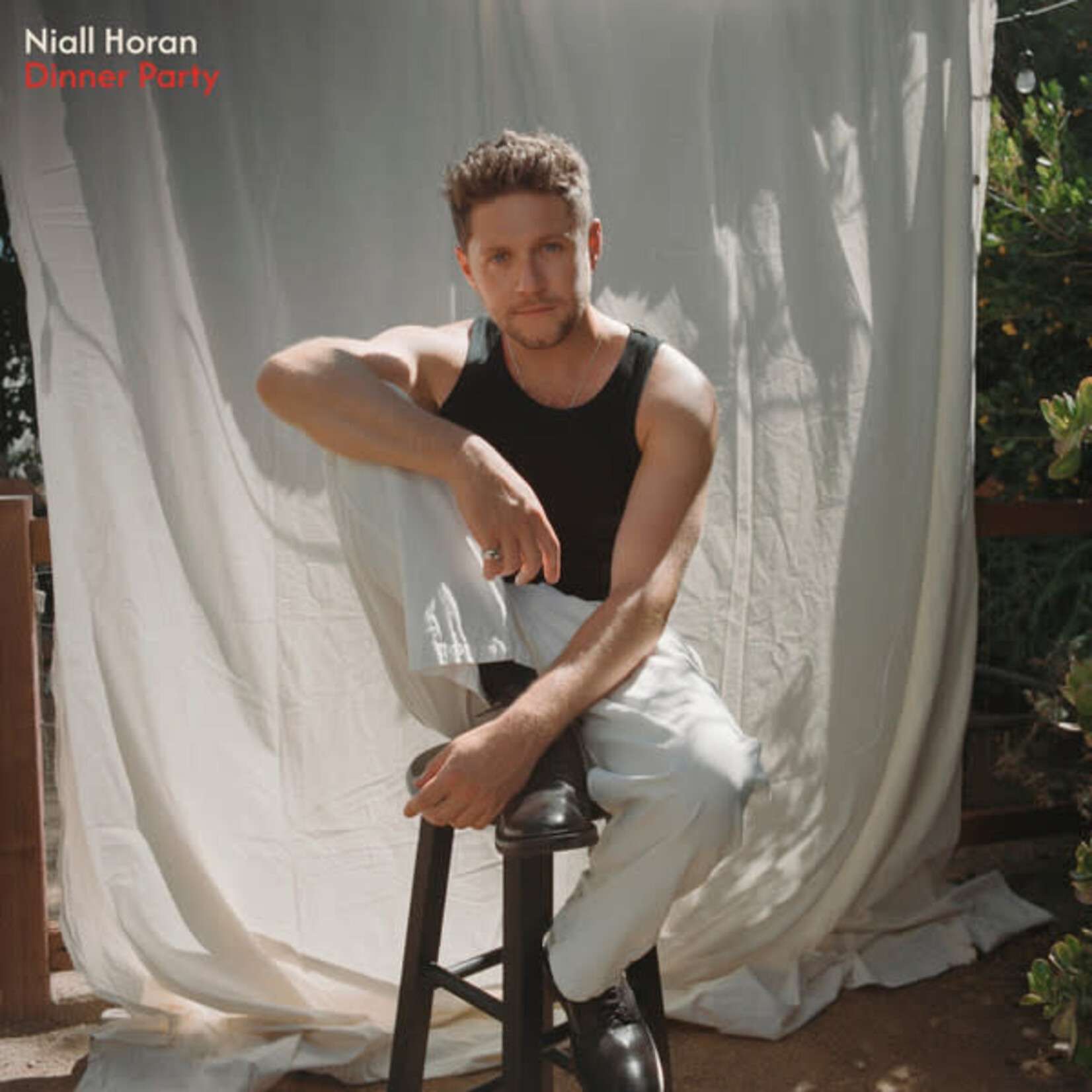 Niall Horan - Dinner Party (Ltd Ed) [USED CD]