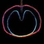 XTC - Wasp Star: Apple Venus Vol. 2 [USED CD]