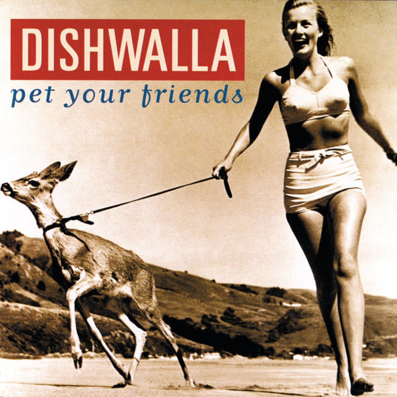 Dishwalla - Pet Your Friends [USED CD]