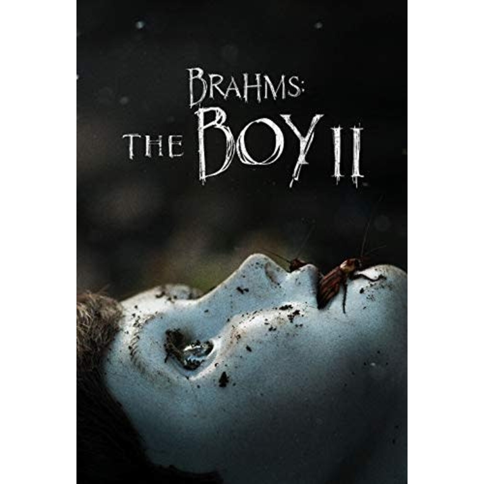 Boy II: Brahms [USED DVD]