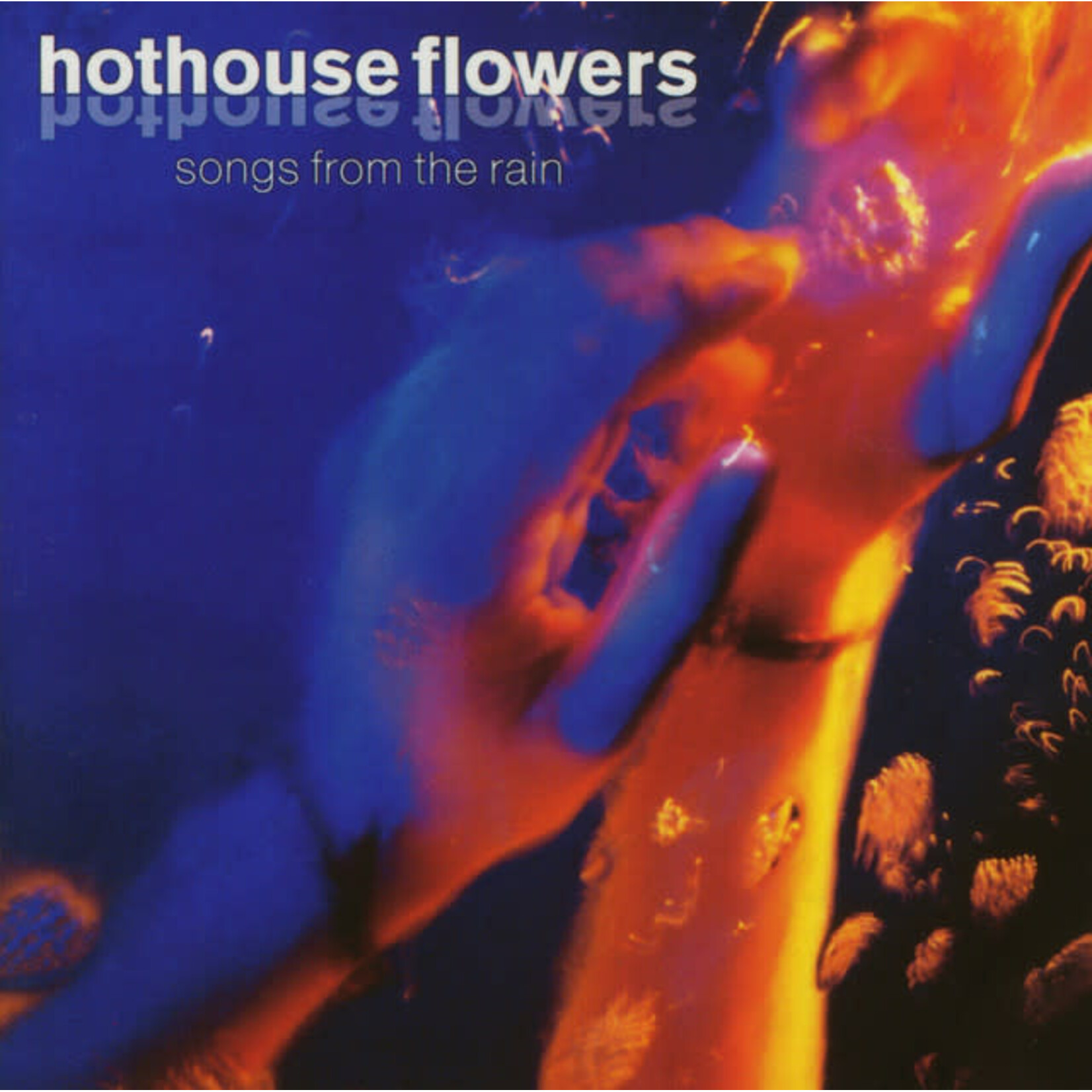Hothouse Flowers - Songs From The Rain [USED CD]