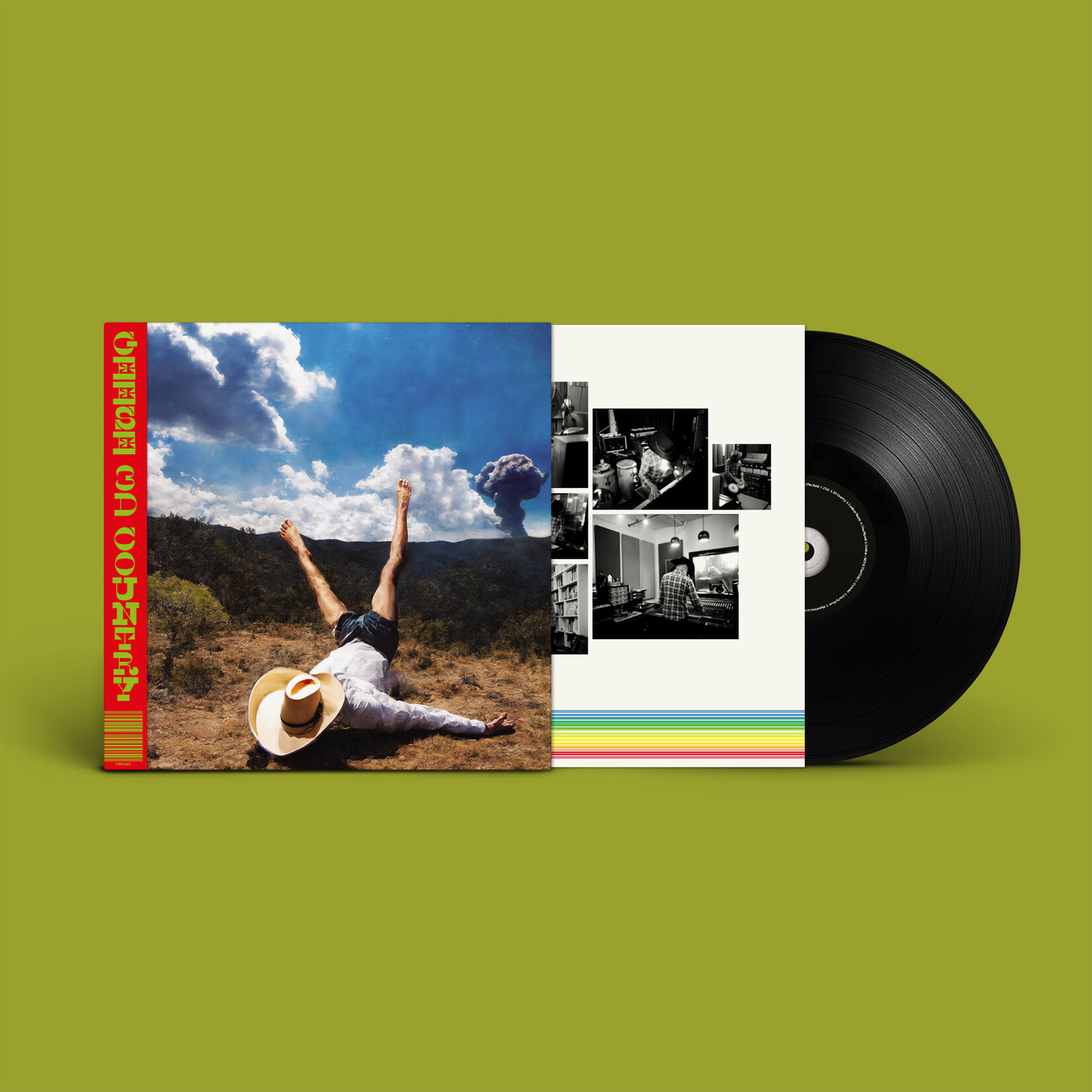 Geese - 3D Country [LP]