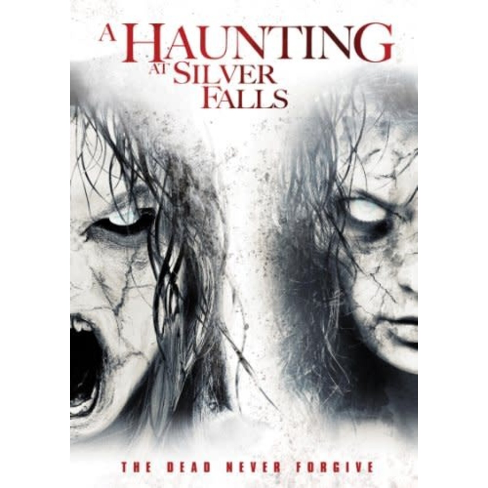 A Haunting At Silver Falls (2013) [USED DVD]