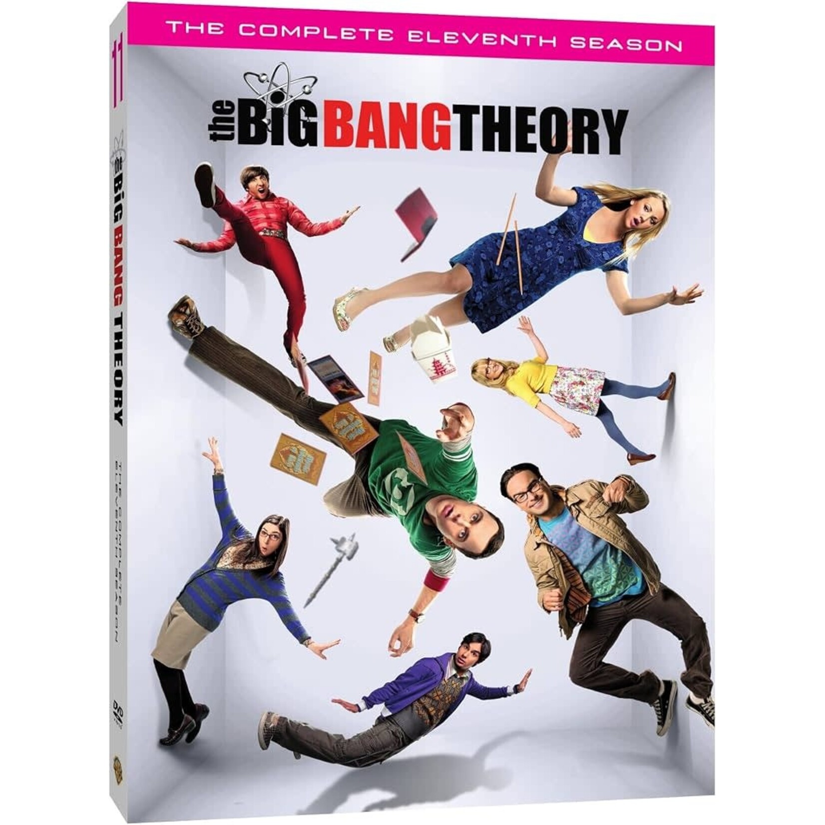 Big Bang Theory - Season 11 [USED DVD]