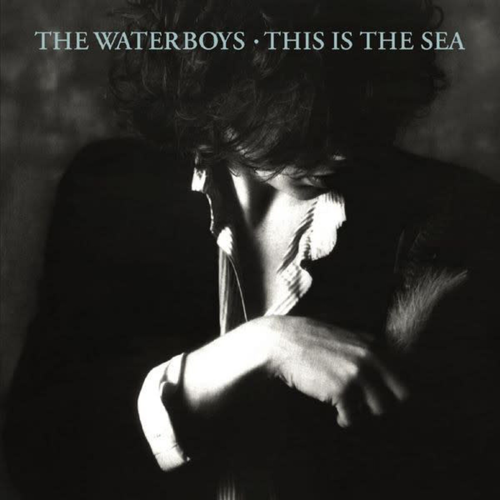 Waterboys - This Is The Sea [USED 2CD]