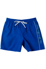 Quiksilver Men's Everyday Vert Volley Boardshort Monaco Blue