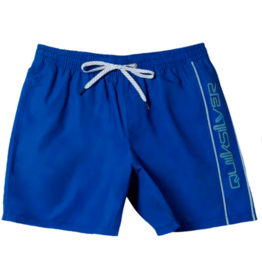 Quiksilver Men's Everyday Vert Volley Boardshort Monaco Blue