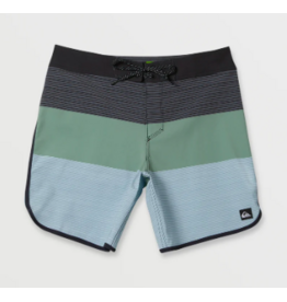 Quiksilver Men's Surfsilk Boardshort Wild Fern Black