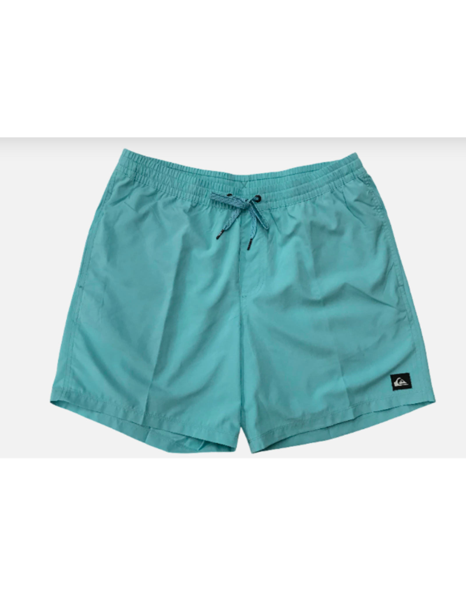 Quiksilver Men's Everyday Solid Volley Shorts Marine Blue