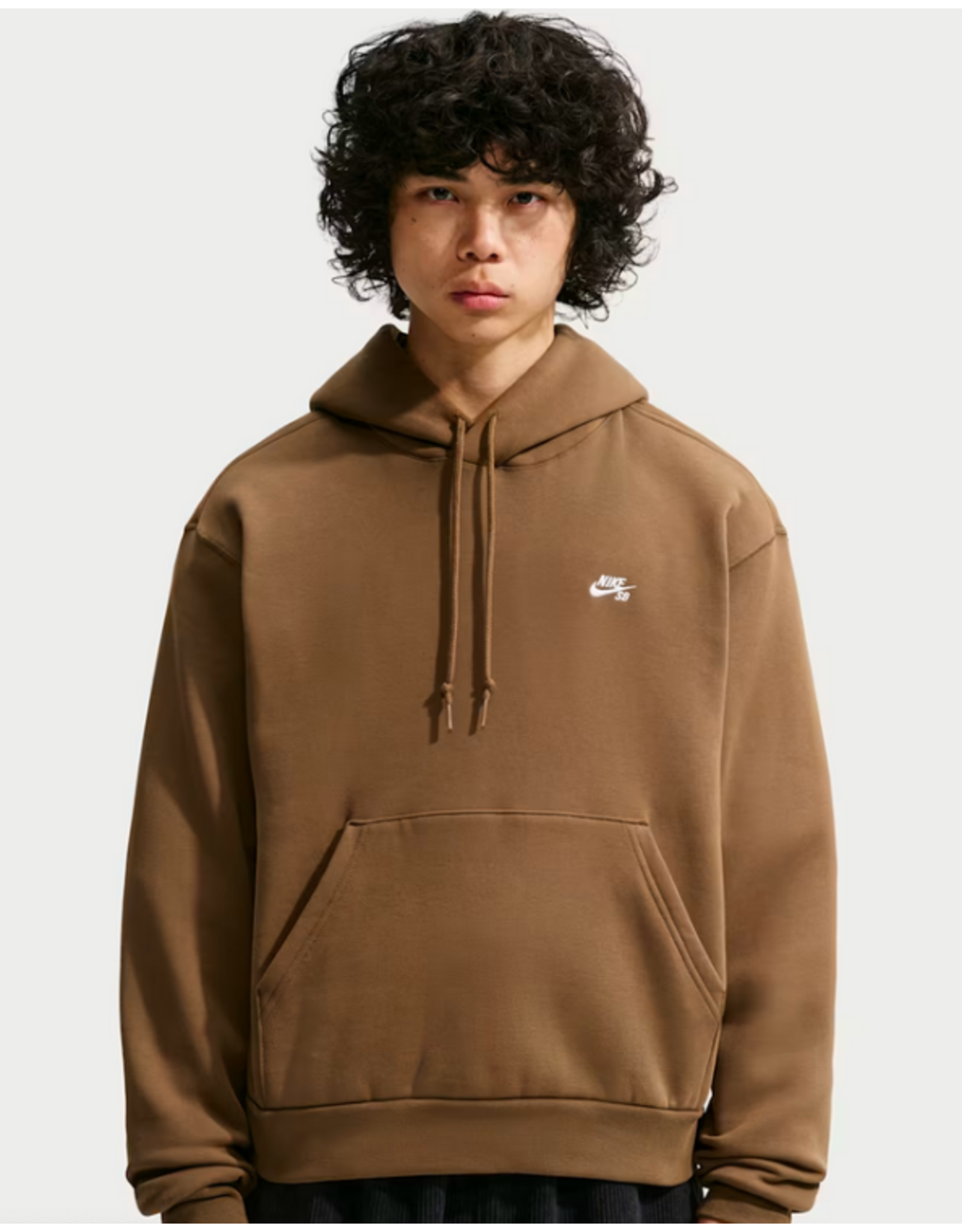 NIKE Nike Men's SB Essential Pullover Hoody