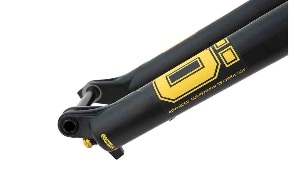 Ohlins RXF36 M.2 Air 29" Fork