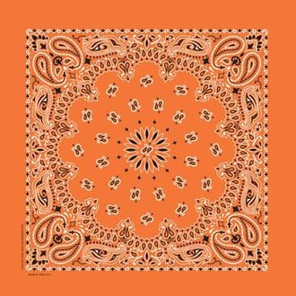 The Bandanna Co. Bandanna Co. Paisley Orange 22'' X 22''
