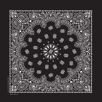 The Bandanna Co. Bandanna Co. Paisley Black 22'' X 22''