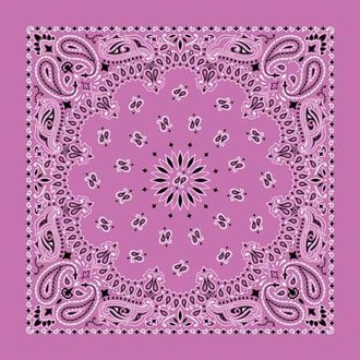 The Bandanna Co. Bandanna Co. Paisley Fuchsia 22'' X 22''