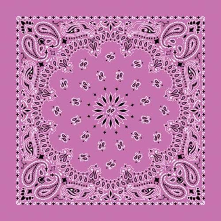 The Bandanna Co. Bandanna Co. Paisley Fuchsia 22'' X 22''