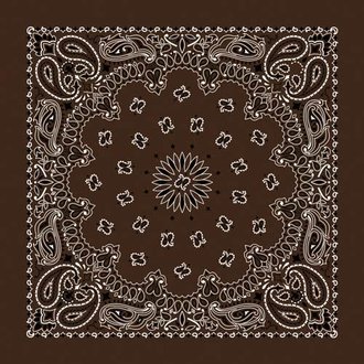 The Bandanna Co. Bandanna Co. Paisley Coco 22'' X 22''