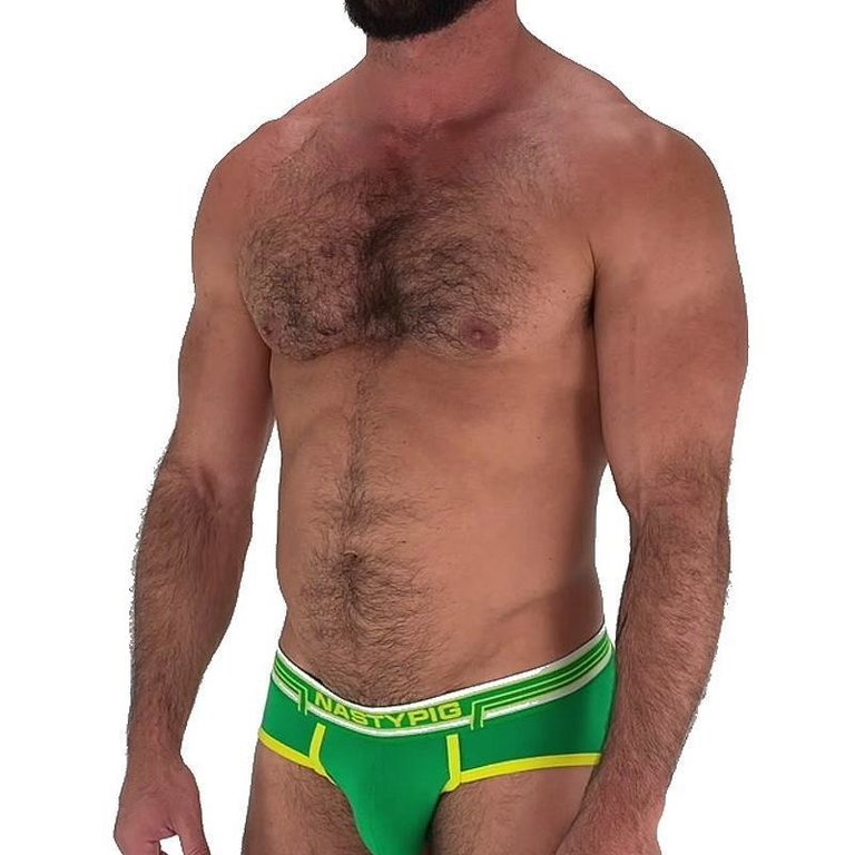 Nasty Pig Nasty Pig Competition Brief