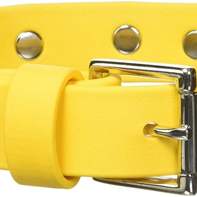 M2M M2M Biothane Collar