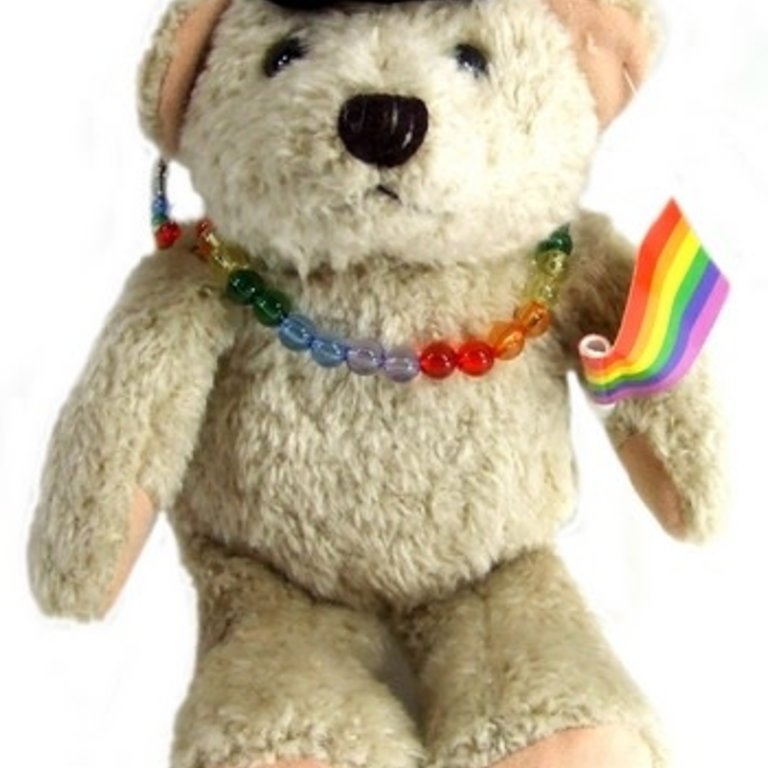 Pride not Prejudice Pride... Plush Bear Out and Proud