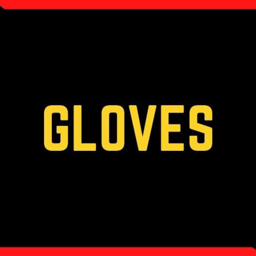 Gloves