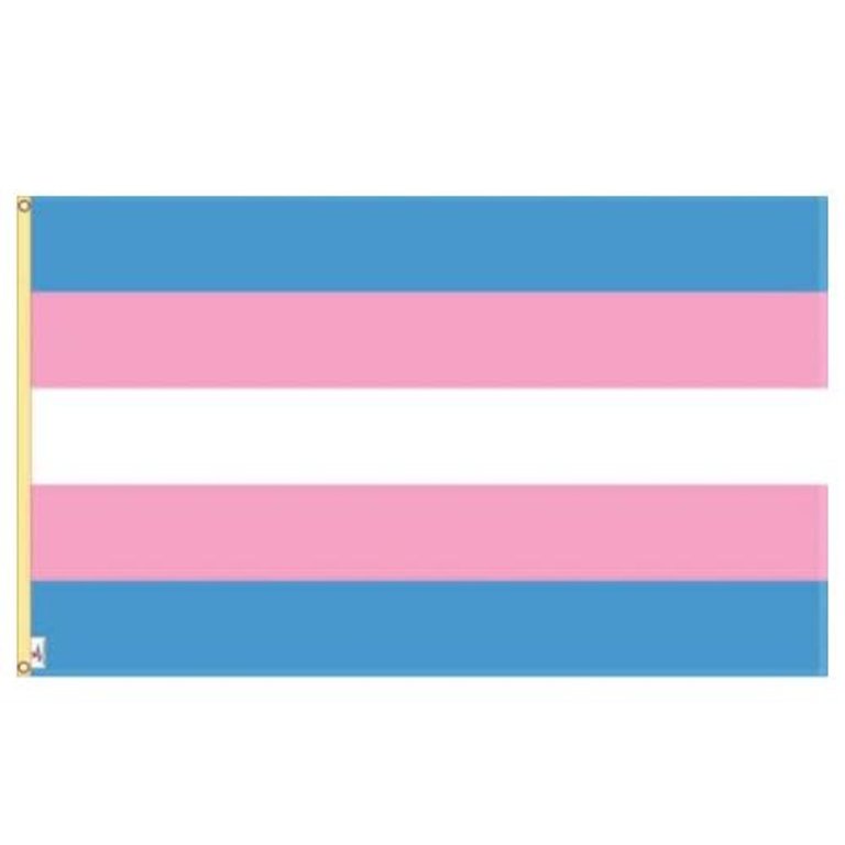 Pride not Prejudice Pride... Flag Nylon Transgender 3'x5'