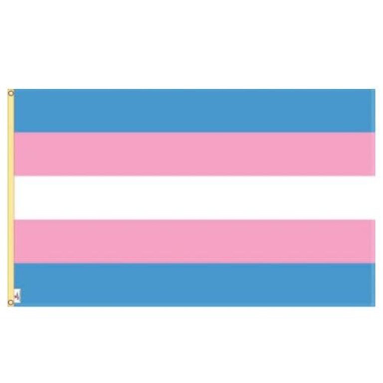 Pride not Prejudice Pride... Flag Transgender Nylon 3'x5'