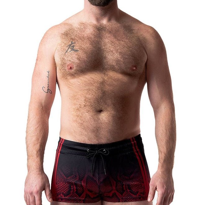 Nasty Pig Launch Y-Front Brief - Doghouse Leathers