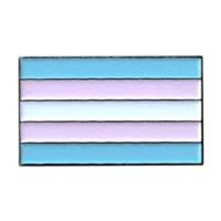 Pride not Prejudice Pride Pin - Regular Flag