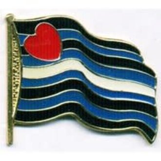 Pride not Prejudice Pride Pin - Wavy Flag Pride not Prejudice Pride Pin - Wavy Flag