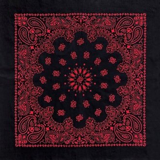 The Bandanna Co. Bandanna Co. Austin Paisley Black/Red 22" X 22" The Bandanna Co. Bandanna Co. Austin Paisley Black/Red 22" X 22"