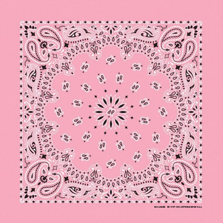 The Bandanna Co. Bandanna Co. Light Pink Paisley 22" X 22"