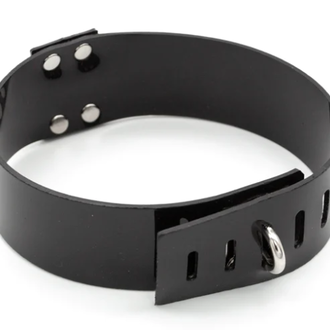 Stockroom Stockroom PVC Collar with D-Ring