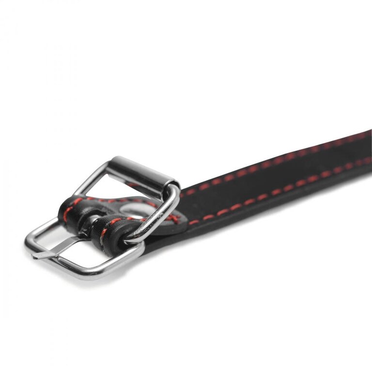 Master Series Master Series Hound Adjustable Bone Gag
