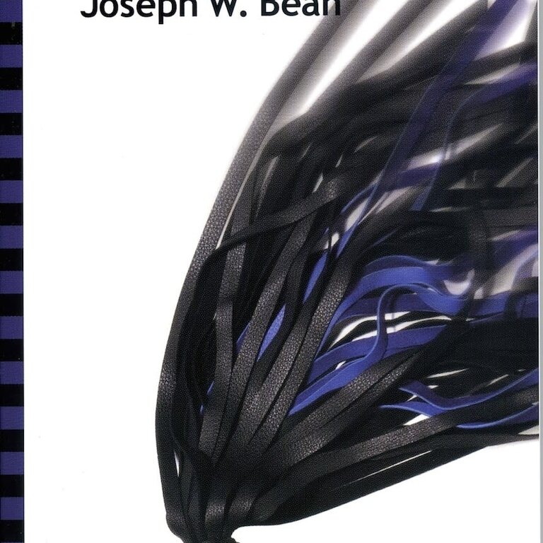 Greenery Press Greenery Press -  Flogging : Essential Guidebook for Lovers of the Lash by Joseph Bean